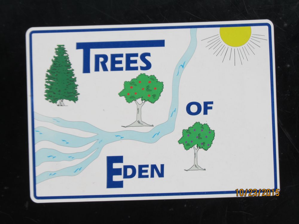 Trees Of Eden - tree service in Laurel, MT