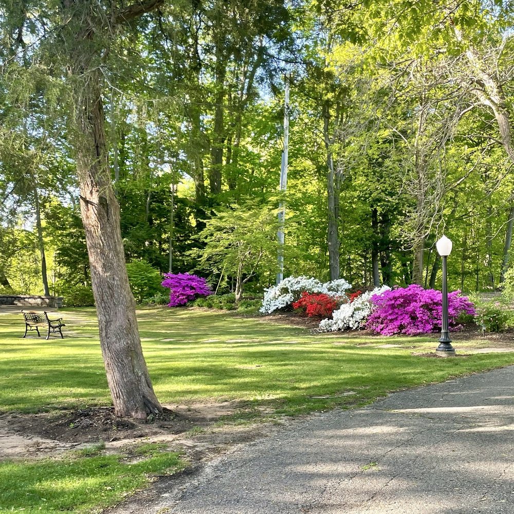 Hawkshead - Azaleas and forest. - Golf Near Me - South Haven, Michigan