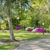 Hawkshead gift card