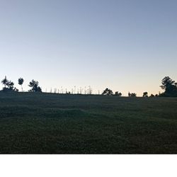 Pesos Mexican Cantina - De un amanecer