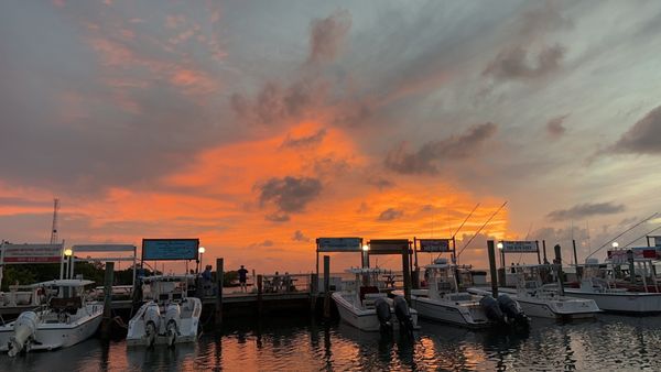 Keys Fisheries by null