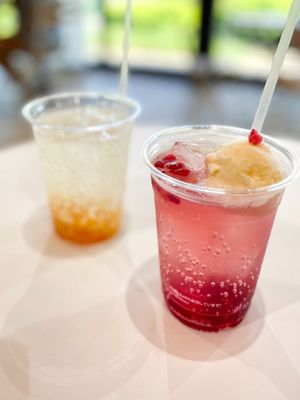 Shinjuku Gyoen National Garden by null