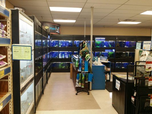 Feeders Supply 3079 Breckenridge Ln Louisville Ky Pet Shops