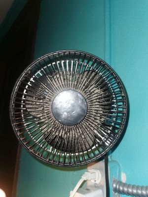 Lucky D's Hostel San Diego by null