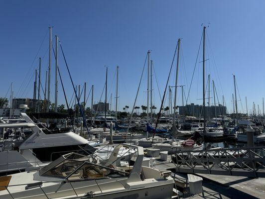 Marina Del Rey Marina by null