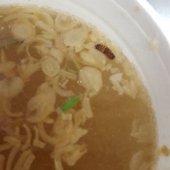 Pho Win - Bee or roach - Vietnamese Near Me - San Antonio, Texas Pho Win - Bee or roach - Vietnamese Near Me - San Antonio, Texas