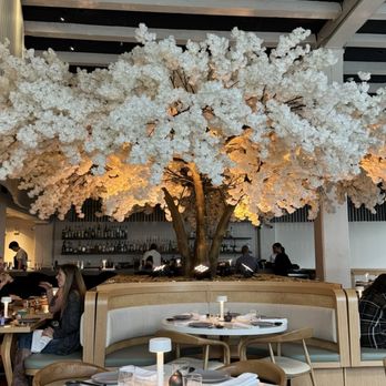 Janken - Japanese Near Me - Portland, Oregon