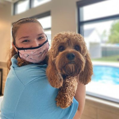 pet paradise bartram reviews