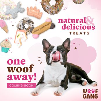 Woof Gang - Pet Groomers Near Me - Glenview, Illinois Woof Gang - Pet Groomers Near Me - Glenview, Illinois