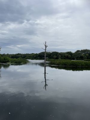 Green Cay Nature Center & Wetlands by null