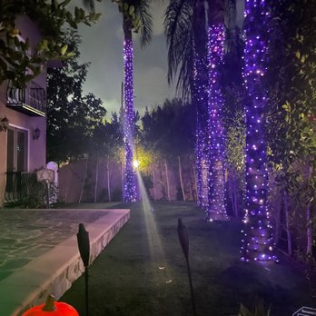 String Lights LA - Twinkly lights wrapped for Halloween! - Lighting Fixtures & Equipment Near Me - Glendale, California