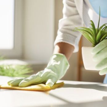 CD Cleaning - Home Cleaning Near Me - Tacoma, Washington