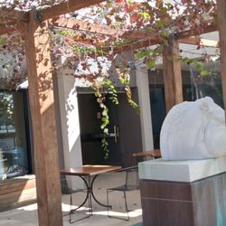 Elgin's Hotel - Beer Garden