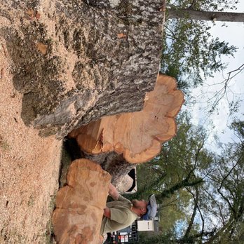 One Source Tree Expert - Tree Services Near Me - Centre, Alabama