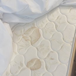 Stains on mattress and litter under couch. Stains on mattress and litter under couch.