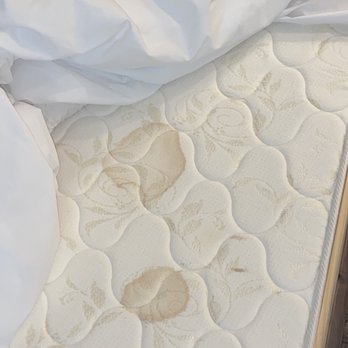 SpringHill Suites by Marriott Frankenmuth - Stains on mattress and litter under couch. - Hotels Near Me - Frankenmuth, Michigan SpringHill Suites by Marriott Frankenmuth - Stains on mattress and litter under couch. - Hotels Near Me - Frankenmuth, Michigan