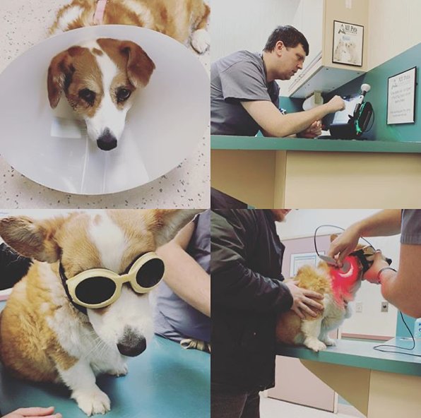 ALL PETS VETERINARY CLINIC Updated October 2024 200 W Sweet Ave, Bismarck, North Dakota