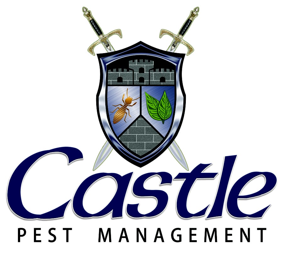 CASTLE PEST MANAGEMENT Updated September 2024 12 Reviews 5300