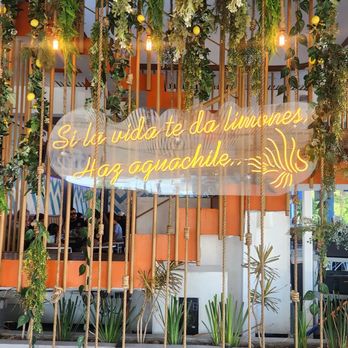 Lion Fish - The swing.... as you wait to be seated by the front entrance. - Bars Near Me - Tijuana, BCN Lion Fish - The swing.... as you wait to be seated by the front entrance. - Bars Near Me - Tijuana, BCN