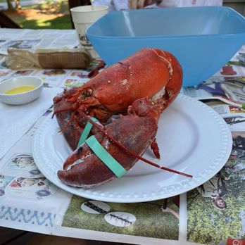 The Lobster Guy - Lobster - Seafood Markets Near Me - Narragansett, Rhode Island