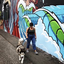 Andiamo Pet Services - Nomad explores Fremont