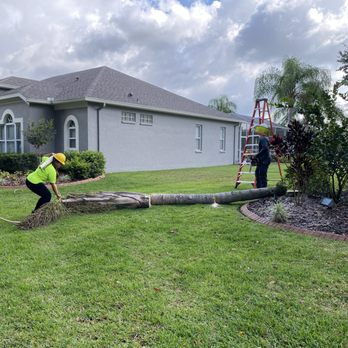 Juan Sanchez Tree Service - Are you sick of that tree which keeps hitting your roof despite regular trimming? Team Sanchez can remove it for you in the blink of an eye. - Tree Services Near Me - Shady Hills, Florida Juan Sanchez Tree Service - Are you sick of that tree which keeps hitting your roof despite regular trimming? Team Sanchez can remove it for you in the blink of an eye. - Tree Services Near Me - Shady Hills, Florida