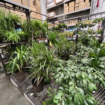 Lowe's Home Improvement - Plant area - Hardware Stores Near Me - Sunnyvale, California Lowe's Home Improvement - Plant area - Hardware Stores Near Me - Sunnyvale, California