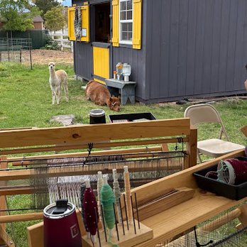 Bewitched by Alpacas - Loom and alpacas - Art Classes Near Me - Bluffdale, Utah