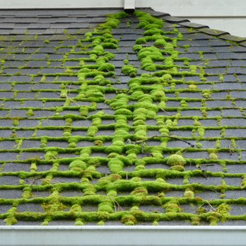 NW Home Pros - Gutter Services Near Me NW Home Pros - Gutter Services Near Me