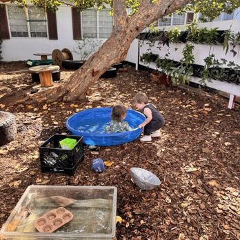 Cocoplum Nature School - Nature tots: making new friends - Specialty Schools Near Me - Delray Beach, Florida Cocoplum Nature School - Nature tots: making new friends - Specialty Schools Near Me - Delray Beach, Florida