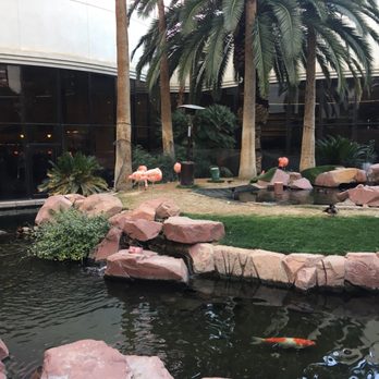 Flamingo Las Vegas - Hotels Near Me - Las Vegas, Nevada Flamingo Las Vegas - Hotels Near Me - Las Vegas, Nevada