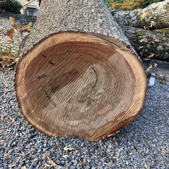Tyson's Tree Service - Tree Services Near Me - Sterling, Virginia Tyson's Tree Service - Tree Services Near Me - Sterling, Virginia