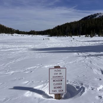 Chickadee Ridge - 1/31/26 FYI. 3 ft under. - Hiking Near Me Chickadee Ridge - 1/31/26 FYI. 3 ft under. - Hiking Near Me