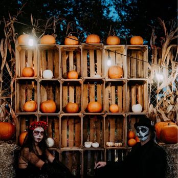 Goff Family Pumpkin Patch - By Luyi Zhao Photos - Pumpkin Patches Near Me - San Diego, California Goff Family Pumpkin Patch - By Luyi Zhao Photos - Pumpkin Patches Near Me - San Diego, California