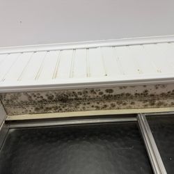 Color Country Motel - MOLD