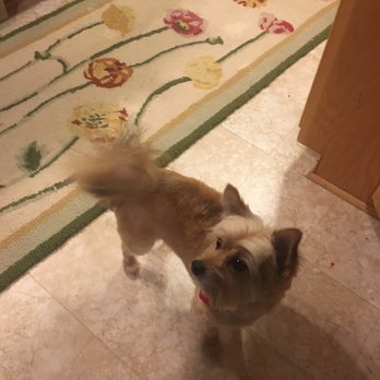 Linda's Poochie Parlor - Pet Groomers Near Me - Hermantown, Minnesota