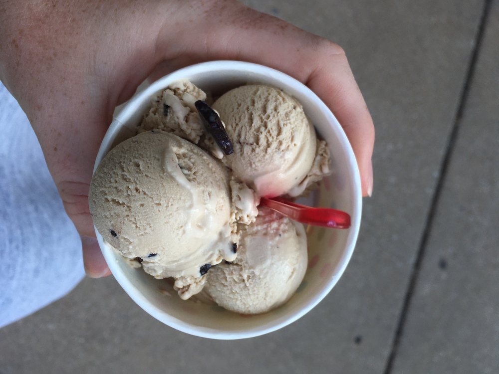 DOG DAYS ICE CREAM PARLOR 26 Photos & 62 Reviews 123 S Calumet Rd