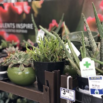lowes pico blvd