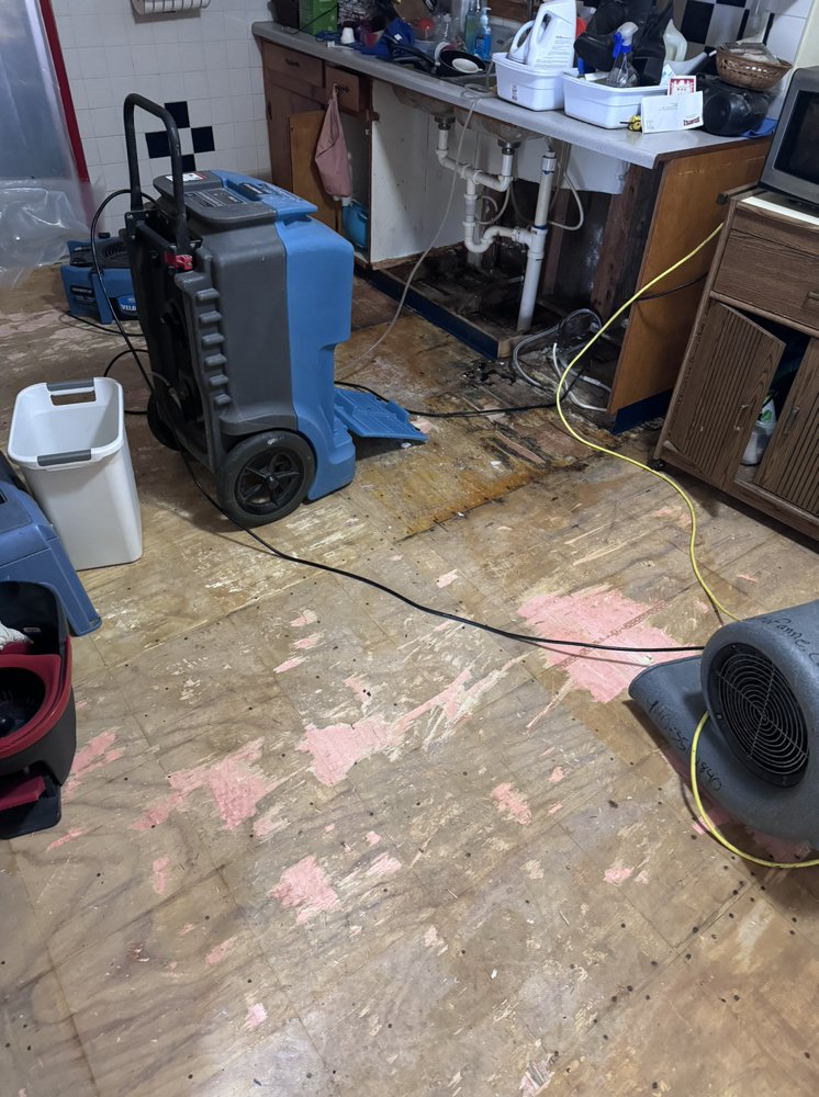 Slide of A Touch of Anne Restoration & Cleaning