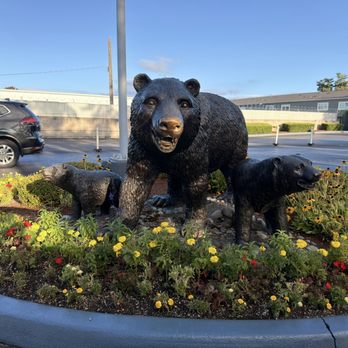Brown Bear Car Wash - 8/22/26 - Car Wash Near Me - Tacoma, Washington Brown Bear Car Wash - 8/22/26 - Car Wash Near Me - Tacoma, Washington