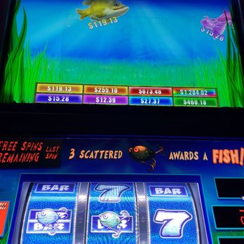 Plainridge Park Casino - Won a fish! - Casinos Near Me - Plainville, Massachusetts Plainridge Park Casino - Won a fish! - Casinos Near Me - Plainville, Massachusetts
