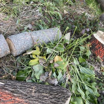 Tony's Tree and Landscaping - Mess in my garden left by Tonys crew - Tree Services Near Me - Cheektowaga, New York