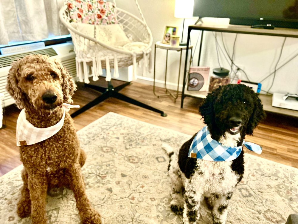 Neighborly Pet Services Image