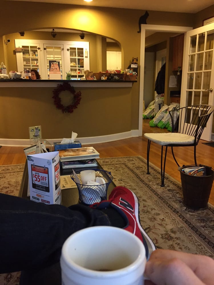 SCRATCHING POST CAT HOSPITAL & RETREAT Updated September 2024 15