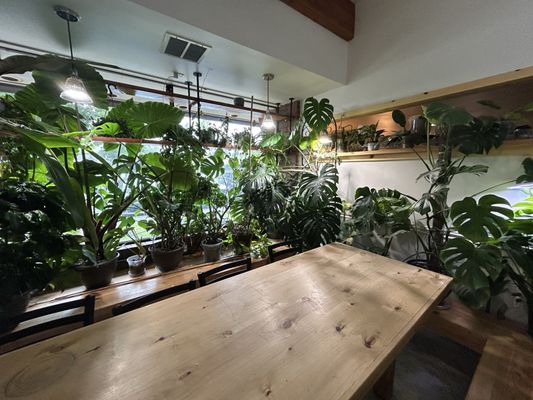 River Maiden by null