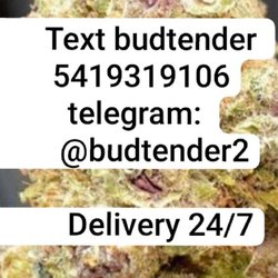 Stories Cannabis
