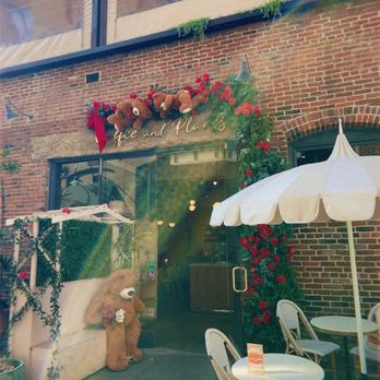 Coffee and Plants - Exterior - Coffee & Tea Near Me - Pasadena, California Coffee and Plants - Exterior - Coffee & Tea Near Me - Pasadena, California