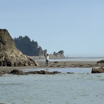 Olympic National Park - Parks Near Me - Port Angeles, Washington