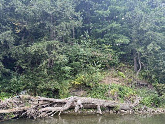 Boyd Conservation Park by null