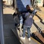 Photo of Arturo's & Son's Moving